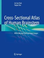 Cross-Sectional Atlas of Human Brainstem