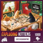 Exploding Kittens Puzzle Cats in Quarantine