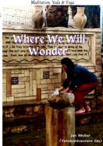 Where We Will Wonder