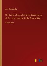 The Burning Spear; Being the Experiences of Mr. John Lavender in the Time of War