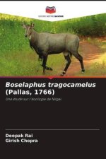 Boselaphus tragocamelus (Pallas, 1766)