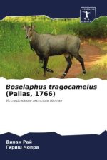 Boselaphus tragocamelus (Pallas, 1766)
