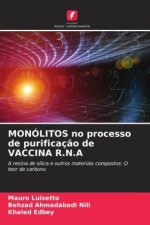 MONÓLITOS no processo de purificaç?o de VACCINA R.N.A