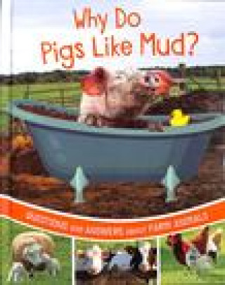 Why Do Pigs Like Mud?