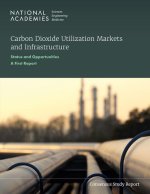 Carbon Dioxide Utilization Markets and Infrastructure: Status and Opportunities: A First Report