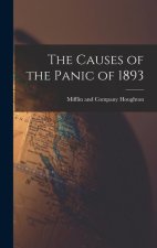 The Causes of the Panic of 1893