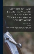 Sketches of Camp Life in the Wilds of the Aroostook Woods, Aroostook County, Maine; Fishing, Canoeing, Camping, Shooting and Trapping, Being True Stor