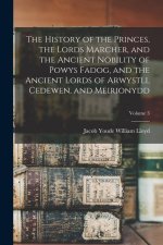 The History of the Princes, the Lords Marcher, and the Ancient Nobility of Powys Fadog, and the Ancient Lords of Arwystli, Cedewen, and Meirionydd; Vo