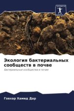 Jekologiq bakterial'nyh soobschestw w pochwe