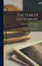 The Star of Gettysburg: A Story of Southern High Tide