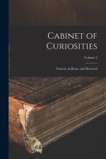 Cabinet of Curiosities: Natural, Artificial, and Historical; Volume 2