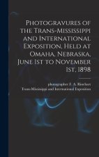 Photogravures of the Trans-Mississippi and International Exposition, Held at Omaha, Nebraska, June 1st to November 1st, 1898