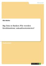 Big Data in Banken. Wie werden Kreditinstitute zukunftsorientierter?