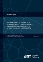 Phasenfeldmodellierung von Bruchbildungs-, Kristallisations- und Auflösungsvorgängen in hydrothermalen Umgebungen