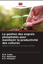 La gestion des engrais phosphatés pour maintenir la productivité des cultures