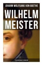 Wilhelm Meister (3 Bildungsromane in einem Band)