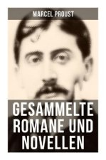 Gesammelte Romane und Novellen von Marcel Proust