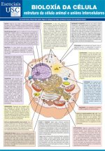 BIOLOXIA DA CELULA