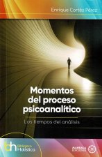 Momentos del proceso psicoanalítico