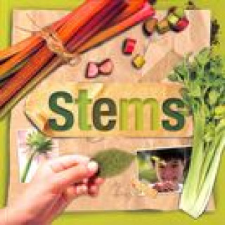 Stems