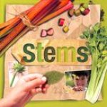 Stems