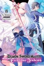 Demon Sword Master of Excalibur Academy, Vol. 8 (light novel)