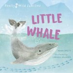 Little Whale: A Day in the Life of a Whale Calf