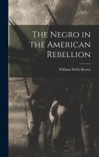 The Negro in the American Rebellion