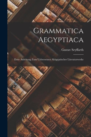 Grammatica Aegyptiaca: Erste Anleitung zum Uebersetzen Altägyptischer Literaturwerke