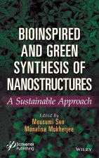 Bioinspired and Green Synthesis of Nanostructures: Sustainable Approach