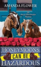 Honeymoons Can Be Hazardous: An Amish Matchmaker Mystery