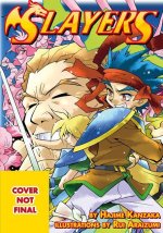 Slayers Volumes 10-12 Collector's Edition