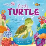 Nature Stories: Little Turtle: Padded Board Book