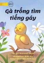 How The Rooster Found His Sound - G? tr?ng t?m ti?ng gáy