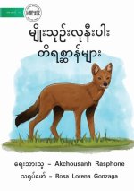 Endangered Animals - မျိုးသုဉ်းလုနီးပါး &#