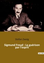 Sigmund Freud : La guérison par l'esprit