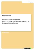 Patentierungsstrategien in Entwicklungskooperationen aus Sicht der Property Rights Theorie