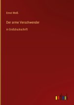 Der arme Verschwender