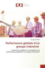 Performance globale d?un groupe industriel