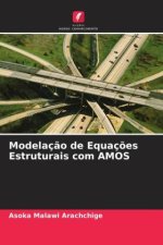 Modelaç?o de Equaç?es Estruturais com AMOS