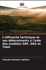 L'efficacité technique et ses déterminants à l'aide des modèles SDF, DEA et Tobit