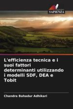 L'efficienza tecnica e i suoi fattori determinanti utilizzando i modelli SDF, DEA e Tobit