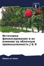 Istochniki finansirowaniq i ih wliqnie na qblochnuü promyshlennost' J & K