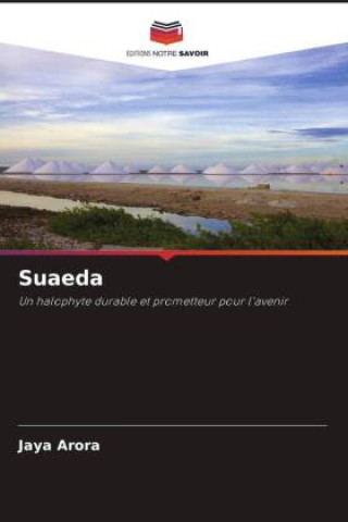 Suaeda