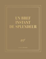 CARNET CARRE UN BREF INSTANT DE SPLENDEUR (PAPETERIE)