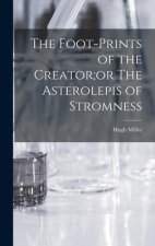 The Foot-Prints of the Creator;or The Asterolepis of Stromness