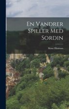 En Vandrer Spiller Med Sordin