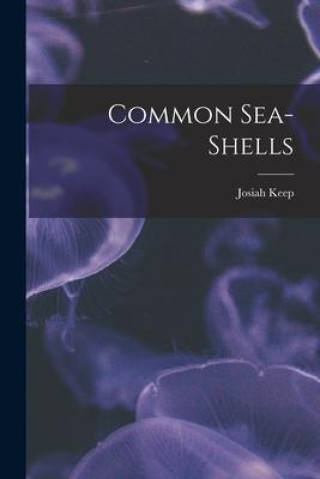 Common Sea-Shells