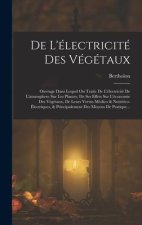 De L'électricité Des Végétaux: Ouvrage Dans Lequel On Traite De L'électricité De L'atmosphere Sur Les Plantes, De Ses Effets Sur L'économie Des Végét