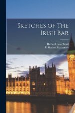 Sketches of The Irish Bar